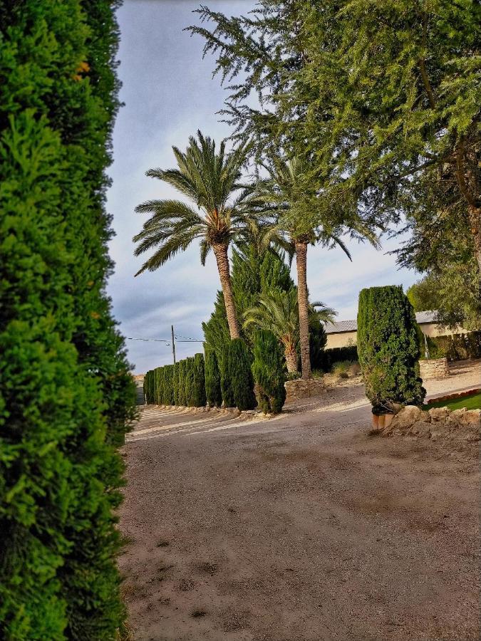 Casa Rural Las Palmeras トバーラ エクステリア 写真